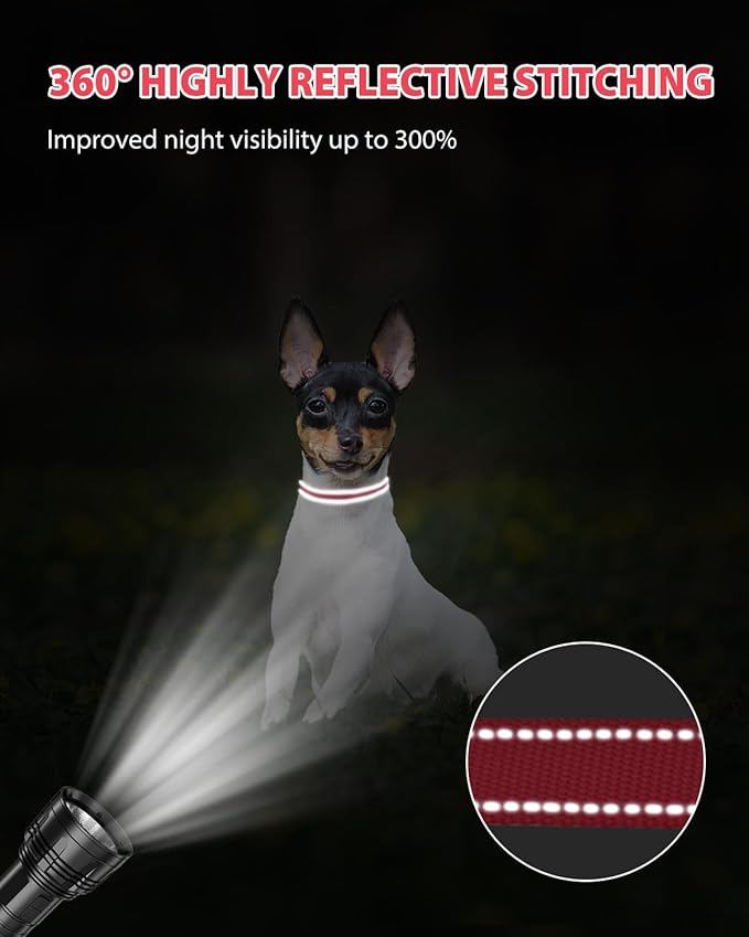 Joytale Small Dog Collar, Reflective and Adjustable Nylon Collar with Quick-Release Buckle, Lightweight No-Choke Design for Puppy and Extra Small Dogs, Red, XS