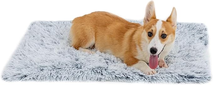 PJYuCien Dog Blankets for Small Dogs Washable - Fluffy Fuzzy Cat Blanket for Couch, Puppy Throw for Furniture with Polyester Fleece, Super Soft Plush for Pet Kitten Doggy, Grey, 24" x 32"