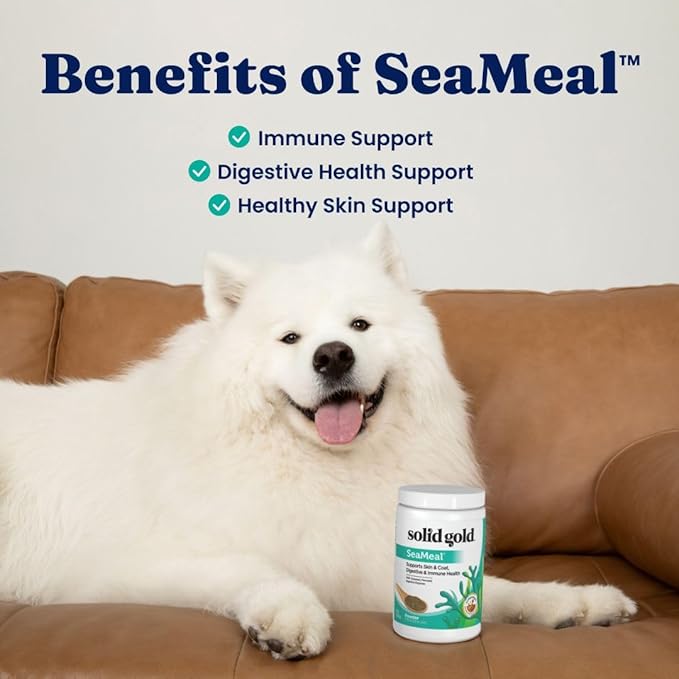 Solid Gold Cat & Dog Multivitamin Powder - Kelp Powder, Omega 3 & Vitamins for Dental, Digestive, Immune, Skin & Coat Health - Multi Vitamin for Dogs & Cats - Cat & Dog Food Additive Supplement - 1lb