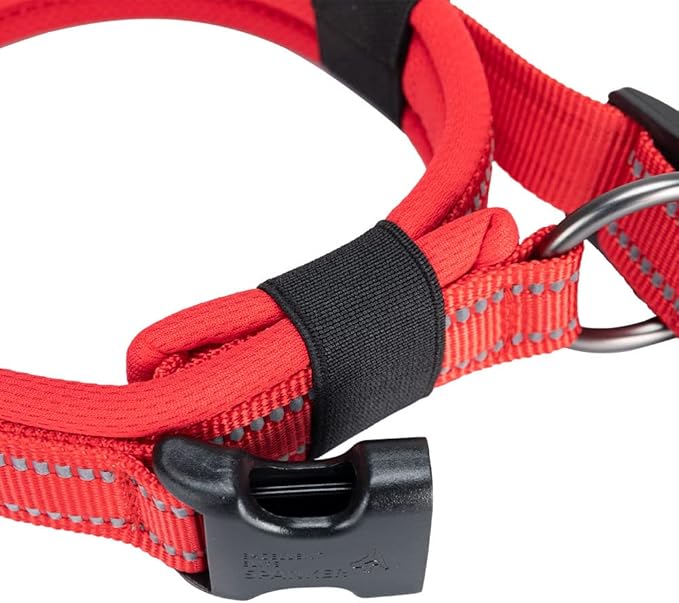EXCELLENT ELITE SPANKER Reflective Dog Collar Classic Soft Padded Breathable Nylon Adjustable Pet Collar with Quick Release Buckle for Boy Girl Male Female Small Medium Large Dogs Training(Red-L)