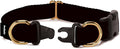 PetSafe KeepSafe Collar for Dogs - Protects Against Collar Accidents - Long Lasting - Durable - Adjustable - Breakaway - Outdoor-Safe - Large - 1 In. Wide - Black