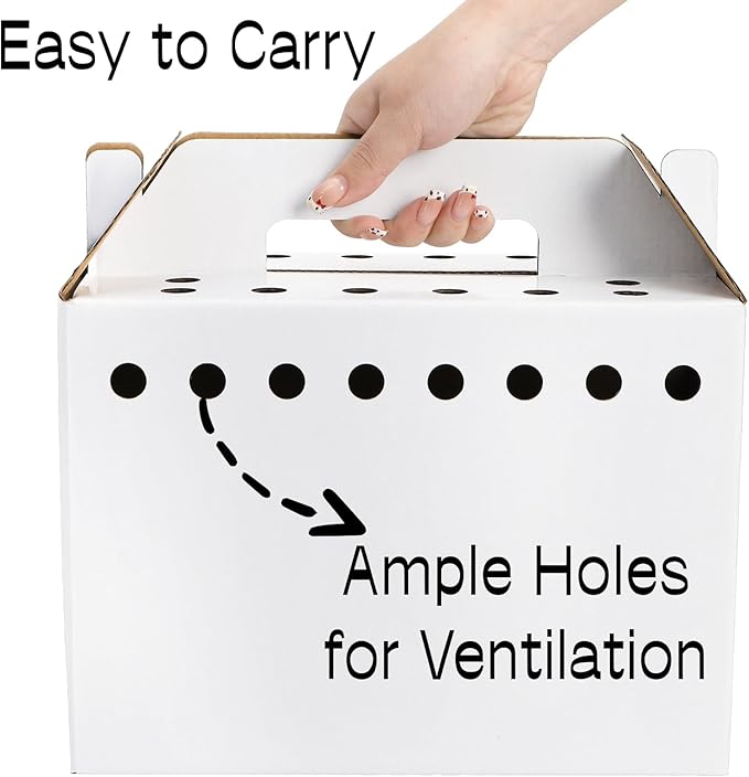 Coloch 20 Pack Cardboard Pet Carrier for Small Pets, 11x8x6 Inches Disposable Pet Transport Box for Pullets, Fowls, Hamsters, Gerbils, Reptiles, Guinea Pigs
