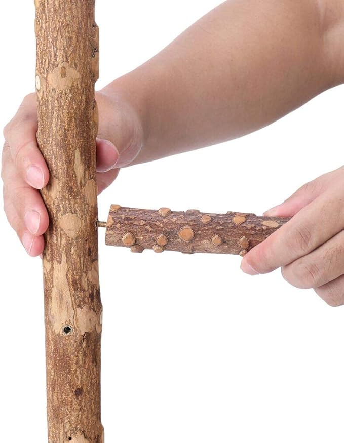 Bird Perch Nature Wood Stand for 3-4pcs Small Medium Parrots (M)