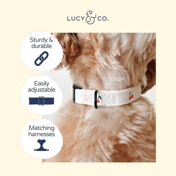 Lucy & Co. Silly Goose Dog Collar, Adjustable Durable Dog Collar with Cute Print, Small