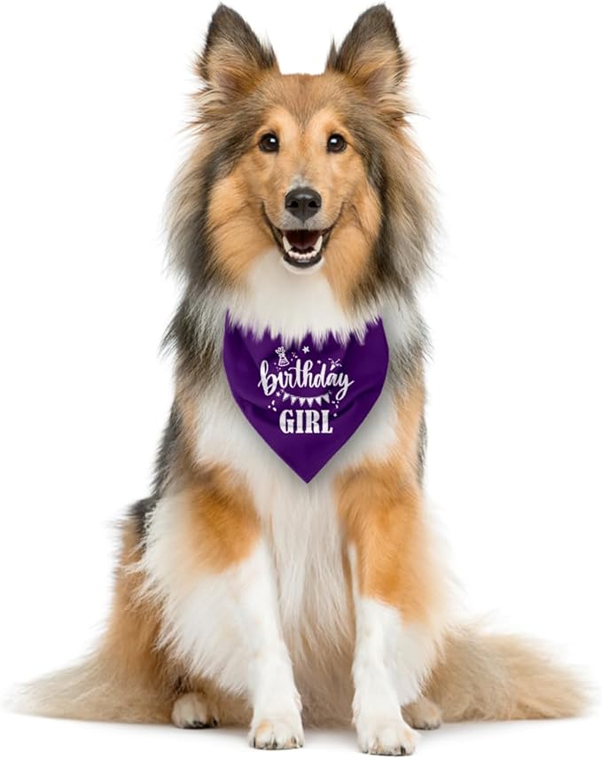 Birthday Girl Dog Bandana - Purple Triangle Scarf for Small Medium Large Dogs - Funny Cute Pet Accessory - Gift for Dog Lovers (D32)