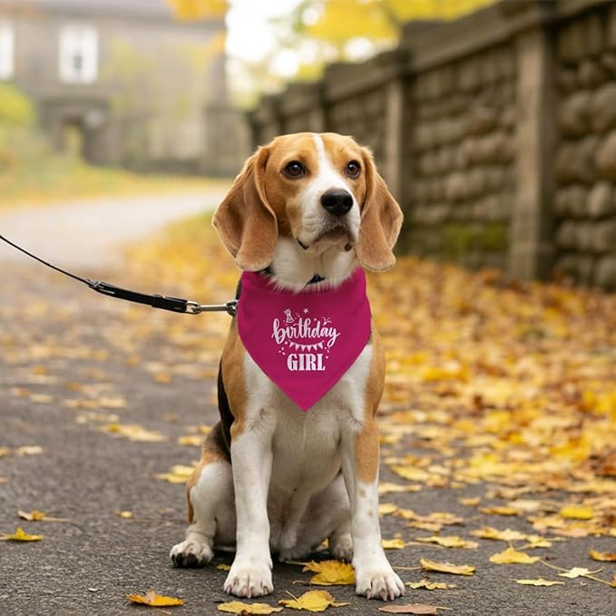 Birthday Girl Dog Bandana, Deep Pink Dog Bandana, Funny Cute Dog Bandana, Pet Dog Triangle Scarf, Pet Dog Scarf Accessories, Girl Dog Bandana, Dog Bandana for Small Medium Large Dogs (E53)