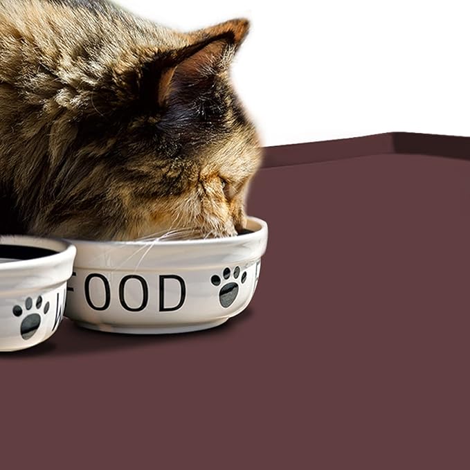 Dog Food Mat,Silicone Waterproof Food Tray,Non Slip Pet Bowl Mats Placemat,0.6" Raised Edge,Suitable for Most Small and Medium Sized Pets,18.5" x 11.5"