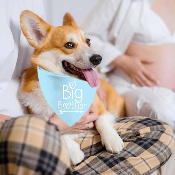 Big Sister Big Brother Dog Bandanas, Adjustable Double Sided Pet Bandana for Pregnancy Announcement, Triangle Scarf for Small Medium Large Dogs, Puppy Sibling Reveal Accessories 2 Pack