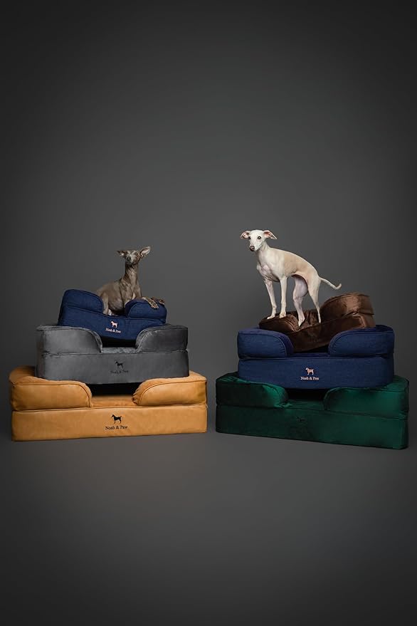 NOAH & PAW XL Dog Bed, 45x35x9.1 Inch, Orthopedic Large Dog Beds, Eggshell Memory Foam Infused with Cooling Gel, Waterproof, Machine Washable, Includes Inner Cover (Velvet Collection)