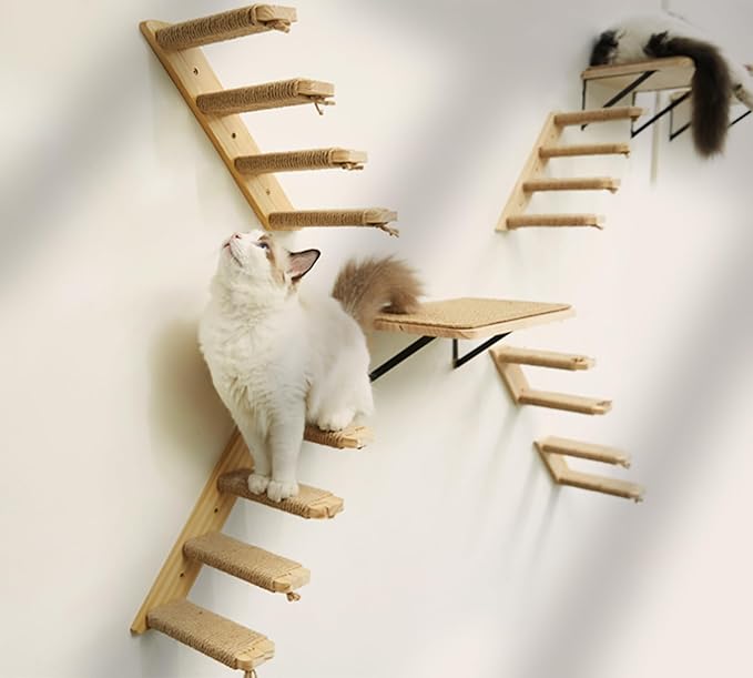 Strong Cat Shelves Stairs for Wall Mounted, 1P Cat Shelf& 2PCS 4 Steps Stairway with Sisal Rope Scratching for Cats Perch Platform, Wall Ladder Furniture