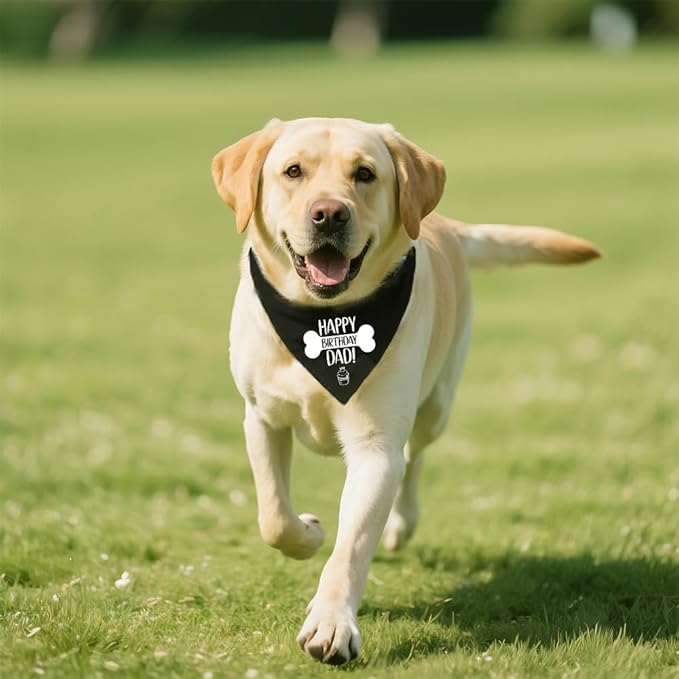 Happy Birthday Dad Funny Dog Bandana, Dog Scarf Accessory for Dad's Birthday Party Gifts, Party Pet Photo Prop Accessories for Dogs Lover Dad, Dogs Lovers Gifts for Men Husband Boyfriend