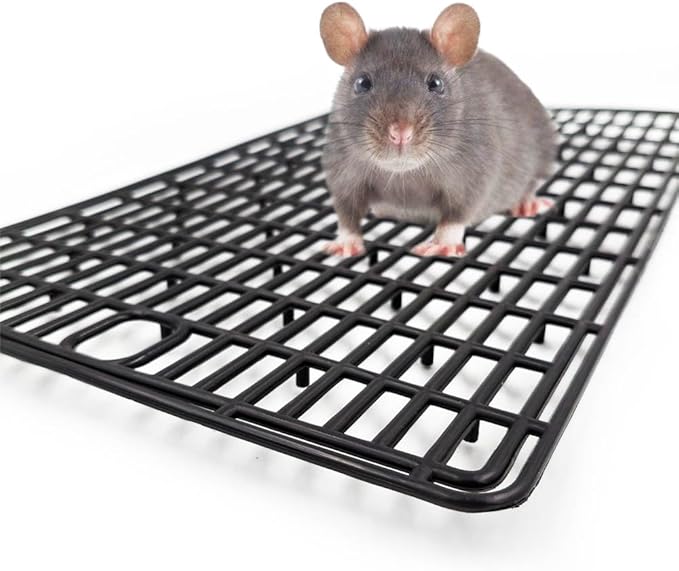 Plastic Mesh Tray for Dogs, Cats & Small Pets – Anti-Leak Crate Floor Grid, Cage Liner for Travel Carriers, Breathable Hygienic Base, Cut-to-Size PP Plastic (Small size15.7x9.4 in)