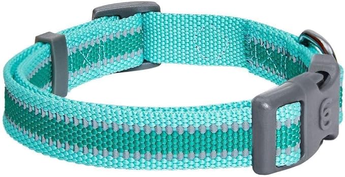 Blueberry Pet Essentials Matching Large Dog Collar | Adjustable Classic Solid Color Nylon Dog Collars for Large Dogs | Reflective Rouge Red Dog Collar for Large Dogs