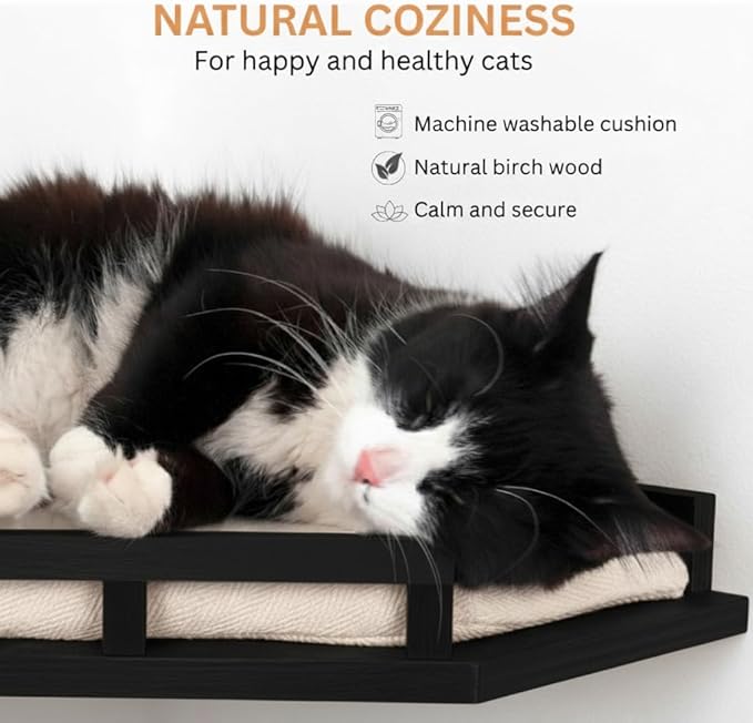 INICIO Cat Wall Shelves - Safe and Sturdy Cat Wall Furniture - Stylish Natural Wood Corner Shelf with 3 Steps for Cats up to 15lbs - Cushioned Perch and Stairs for Climbing and Playing - Black