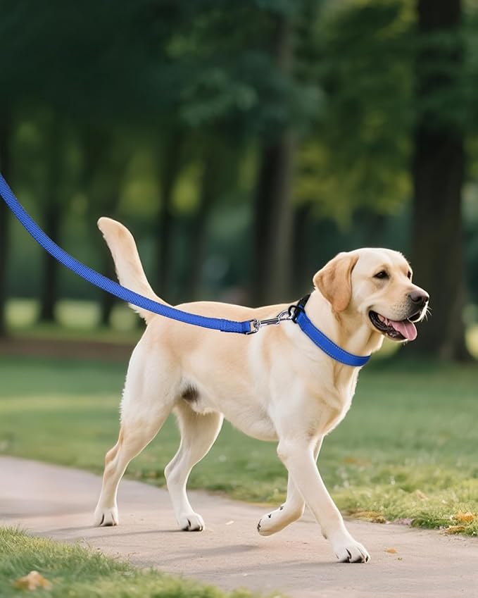 Joytale Reflective Dog Collar, Adjustable Nylon Pet Collar with Quick-Release Buckle for Medium Dogs, Navy Blue, M