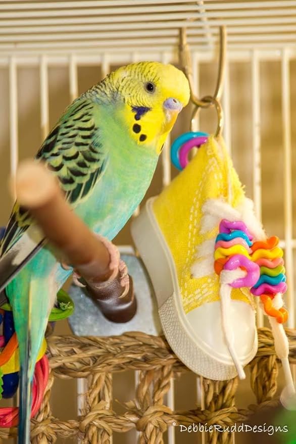 Super Bird Creations SB719 Beaker Sneaker Bird Toy for Parrotlets, Parakeets, Cockatiels, Lovebirds, ringnecks, Medium Conures - Mini Colorful Canvas Sneaker - Small/Medium Bird Size, 6" x 2"