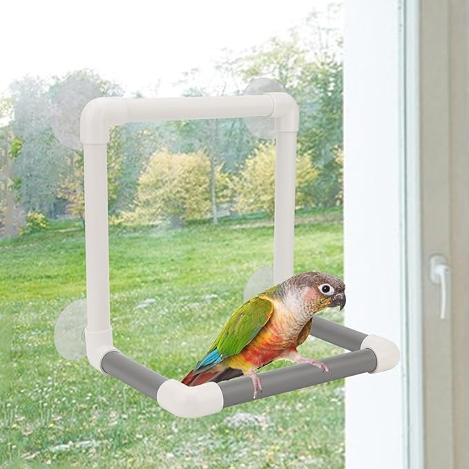 Hypeety Bird Portable Suction Cup Parrot Shower Perch Window Standing Platform Shower Bath Toy for Bird Parrot Macaw Cockatoo African Greys Budgies Parakeet Cockatiel