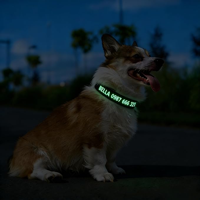 DOG WORLD Custom Fluorescent Dog Collar - Personalized Luminous Name & Phone Number for Night Safety, Fashionable & Easy-to-Use Pet Accessory, Ideal for Night Walks