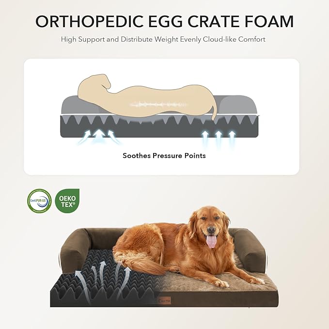 Orthopedic Dog Beds for Extra Large Dogs, Waterproof Egg Crate Foam XL Dog Bed with Sides 48x30Inch, Big Dogs Couch Beds with Removable Washable Cover and Nonskid Bottom, Brown