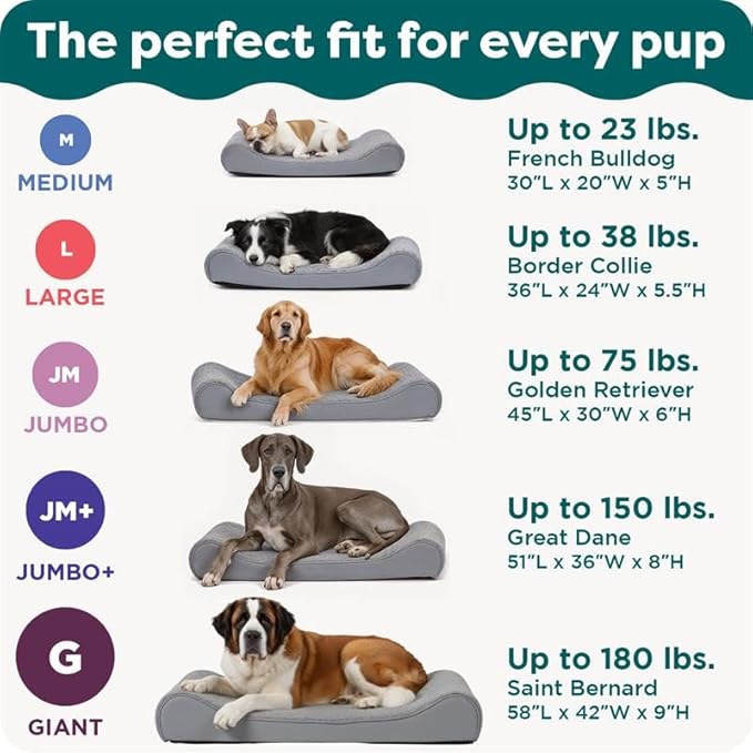 FurHaven Orthopedic Dog Bed for Large Dogs, Luxe Lounger Contour Mattress with Solid Orthopedic Foam Slab for Joint Support, Removable Washable Cover, Giant XXXL, Plush Suede, Gray