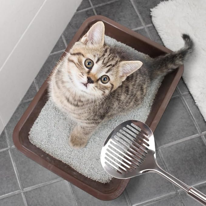 Kakalote 2pcs Cat Litter Scoop, Stainless Steel Durable Litter Scoop for Cat Mesh Shovel Long Handle(12.2inchs Length)