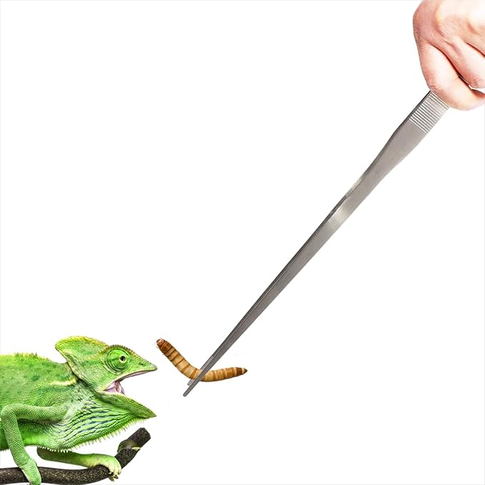 18.9 inch Heavy Duty Extra Long Tweezers for Salt & Fresh Water, Straight 18/8 Stainless Steel Reptile Feeding Tongs for Aquarium & Terrarium, Large Metal Snake Feeding Tweezers