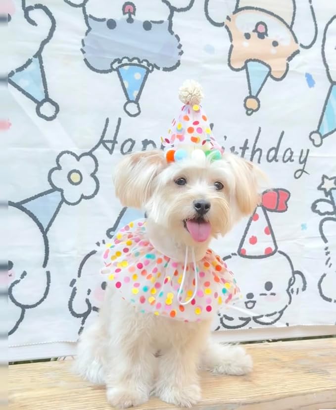 Cat Dog Princess Costumes Puppy Cat Birthday Bandana Scarf and Party Hat Cute Lace Dog Bib Scarf and Christmas Hat Doggy Birthday Party Decorations Set
