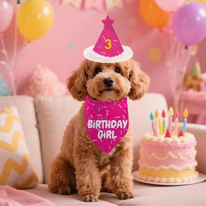 Dog Birthday Bandana Set, Rose Pink Birthday Girl Decorations, HBD Party Supplies with Hat Bandana Numbers for Pets (Pink)