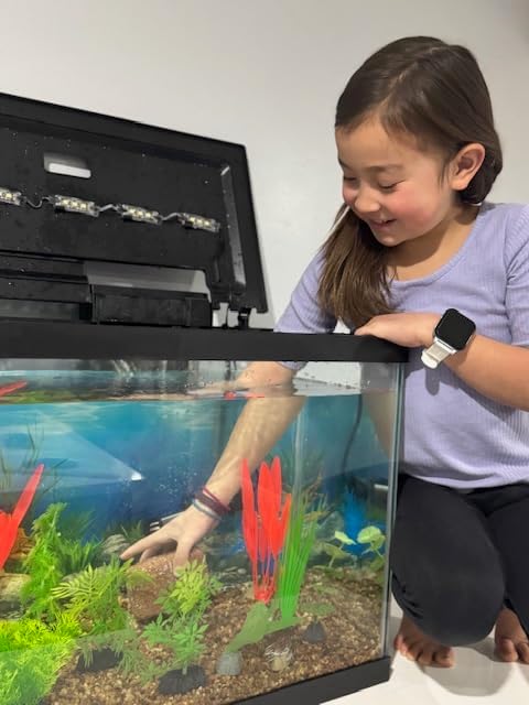 Aquarium Stone for Natural Water Clarification and Odor Removal Featuring Beneficial Bacteria (Nano)