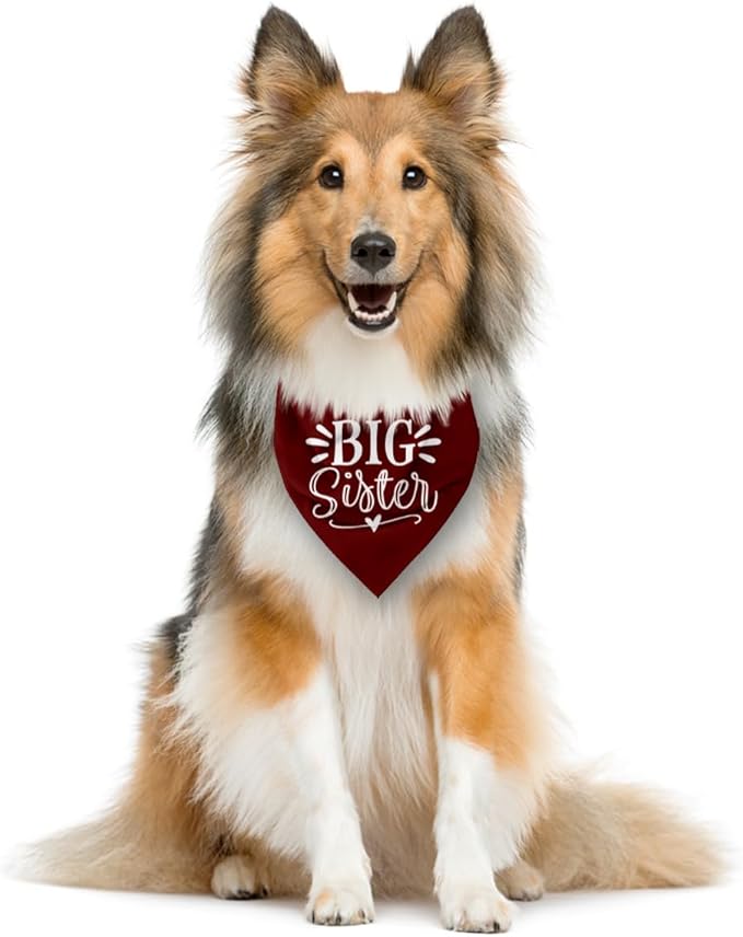 Big Sister Bandana for Dogs, Dog Pregnancy Announcement, Dark Red Dog Bandana, Pet Bandana for Small Medium Large Dogs (M)