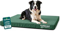 Furhaven Water-Resistant Orthopedic Dog Bed for Large/Medium Dogs w/ Removable Washable Cover, For Dogs Up to 55 lbs - Indoor/Outdoor Logo Print Oxford Polycanvas Mattress - Forest, Large