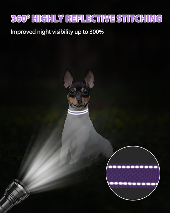 Joytale Small Dog Collar, Reflective and Adjustable Nylon Collar with Quick-Release Buckle, Lightweight No-Choke Design for Puppy and Extra Small Dogs, Purple, XS