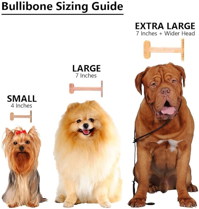 Bullibone Nylon Dog Chew Toy for Aggressive Chewers - Dental Hygiene Bone with Beef Flavor, Durable Tough Chew Toys for Extra Large Dogs, Indestructible Dog Bone - 3 Pack