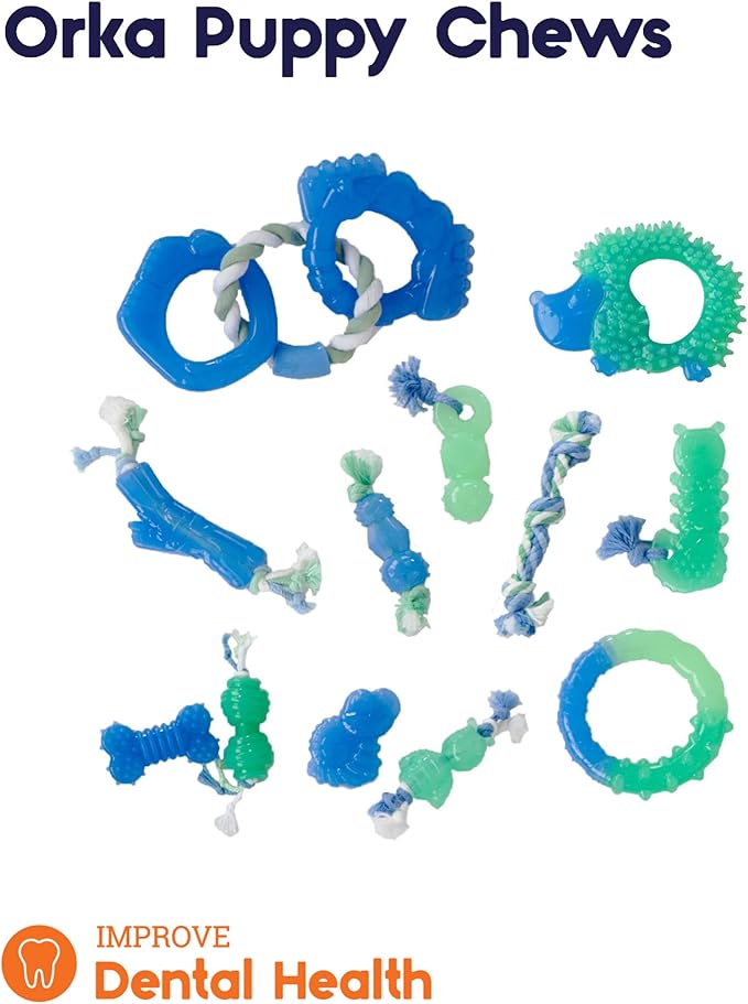Outward Hound Pupstages Grow-with-Me Ring Dog Chew Toy, Durable Rubber, 3 Texture Zones, Teething Puppies & Small Dogs, 4.7”