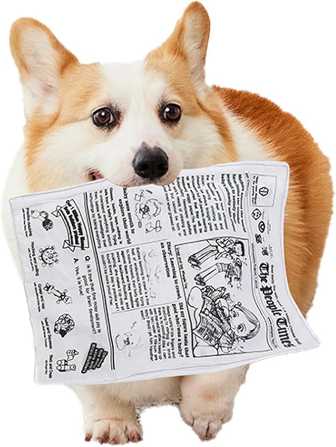 3 Pack Dog Squeaky Toys Crinkle Paper Dog Toys Non Shredding Washable Interactive Crinkly Newspaper No Stuffing Dog Chew Toy for Puppy Puppies Small Doggie Poodle Teddy Terrier Dogs Tearing