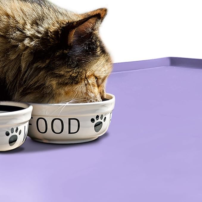 Dog Food Mat,Silicone Waterproof Food Tray,Non Slip Pet Bowl Mats Placemat,0.6" Raised Edge,Suitable for Most Small and Medium Sized Pets,24" x 16"