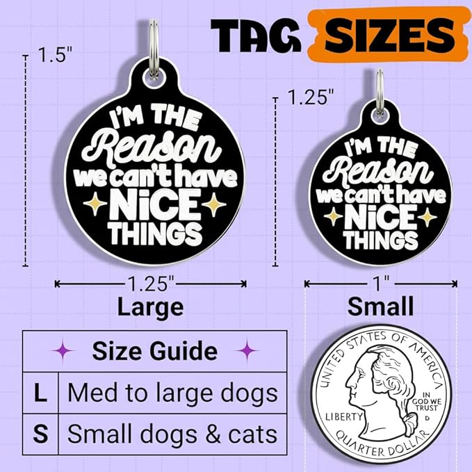Bad Tags Personalized Dog and Cat ID Tags in 25+ Designs and 2 Sizes - 5 Lines of Custom Engraved Text - Funny Cute Personalized Pet Tags (I'm The Reason We Can't Have Nice Things, Large (1.25 inch))