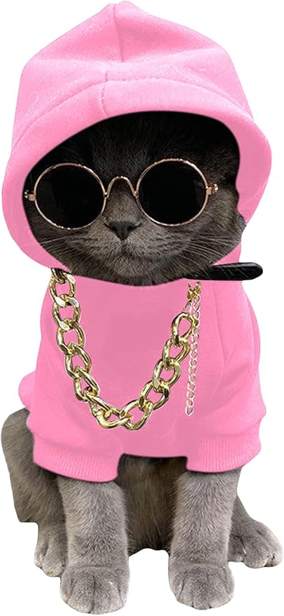 QWINEE 3Pcs Dog Hoodie Cat Apparel Dog Custume Set with Necklace and Sunglasses Pet Clothes for Puppy Small Medium Dogs Cats Light Pink Medium