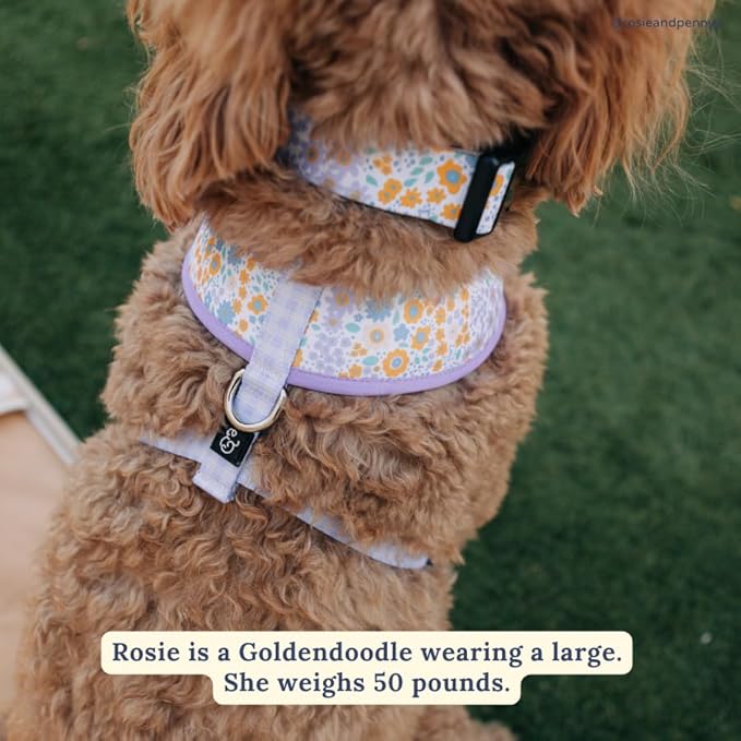 Lucy & Co. Among The Wildflowers Dog Collar - Durable Lightweight Designer Collar for Pets - Adjustable Metal Safety Buckle - Purple Floral - Large