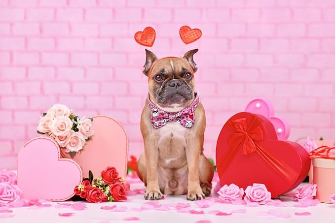 Valentine’s Day Dog Collar Adjustable Puppy Collar with Pink Heart and Flowers Pattern, Cute Pet Accessories for Small Medium Large Dogs