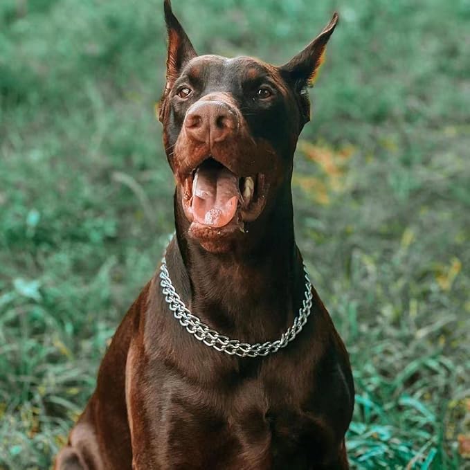 Silver Dog Chain Collar - Stainless Steel, Adjustable Walking, Metal Cuban Link, Chew Proof Double Row Chain Collar for Large, Small, Medium Dogs