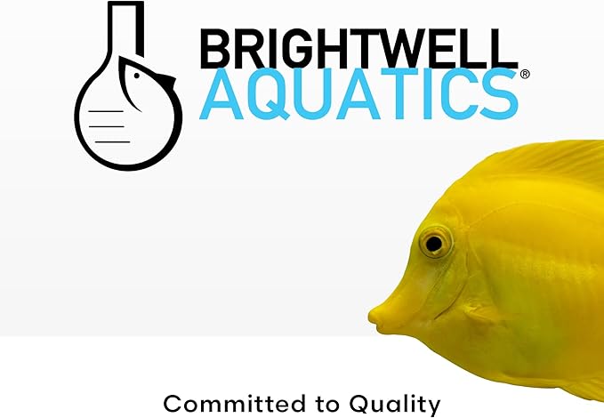 Continuum Aquatics Continuum AquaBlade P - Short Fish Tank Algae Scraper, Acrylic Safe Scraper - Aquarium Cleaning Tools