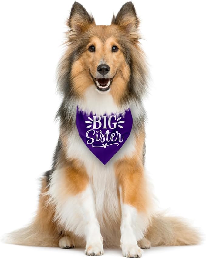 Big Sister Dog Bandanas, Purple Dog Bandana, Pet Scarf Accessories, Pet Triangle Scarf, Dogs Bandana for Large Dogs, Baby Announcement Dogs Bandanas (L)