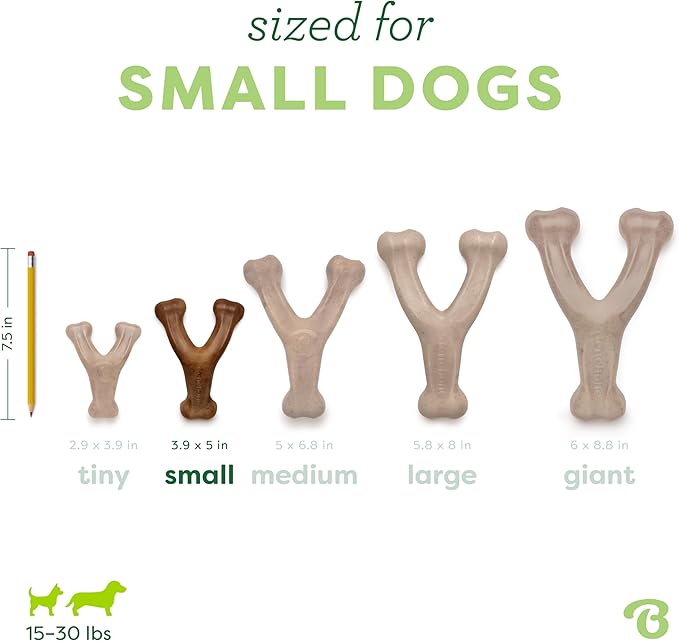 Benebone Wishbone Durable Dog Chew Toy for Aggressive Chewers, Made in USA, Small, Real Bacon Flavor