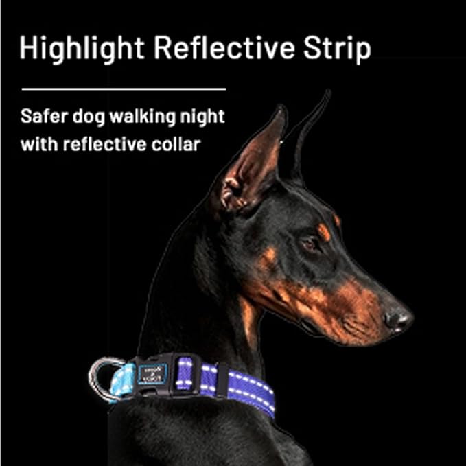 Roses&Poetry Reflective Dog Collar with Gradient Violet, Adjustable Durable Pet Collars for Small Medium Large Dogs (Violet-M)
