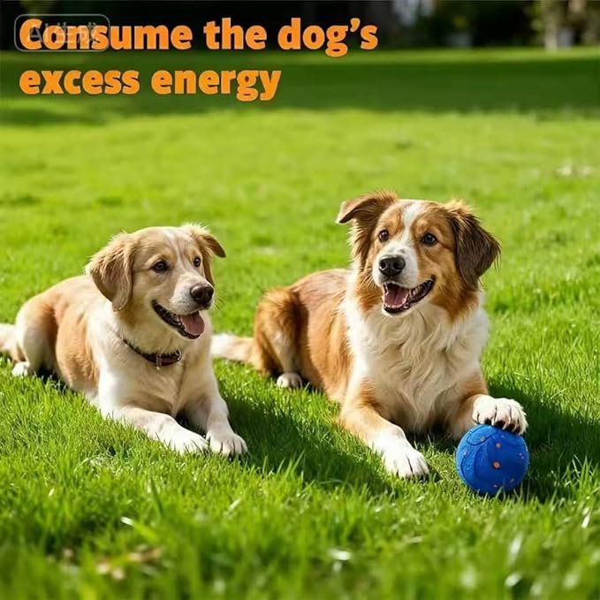 PawPlay 2026 Smart Interactive Dog Ball, Rechargeable Electronic Pet Toy with Type-C Charging, Blue Motion Activated Ball for Dogs, Indoor Outdoor Exercise and Training.