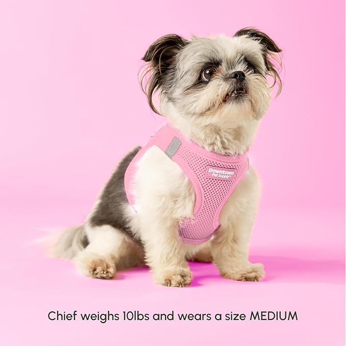 Downtown Pet Supply Step in Dog Harness for Medium Dogs - Adjustable, Escape Proof Dog Harness with Reflective Trim - All-Weather, Fast-Drying Padded Mesh Fabric - Baby Pink, M
