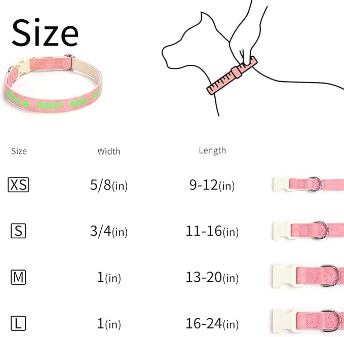 DOG WORLD Custom Fluorescent Dog Collar - Personalized Luminous Name & Phone Number for Night Safety, Fashionable & Easy-to-Use Pet Accessory, Ideal for Night Walks