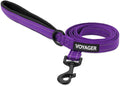Best Pet Supplies Voyager Reflective Dog Leash or Collar with Neoprene Handle, for Small, Medium, and Large Breed Puppies, Cute and Heavy Duty for Walking, Running and Training - Purple Leash, L