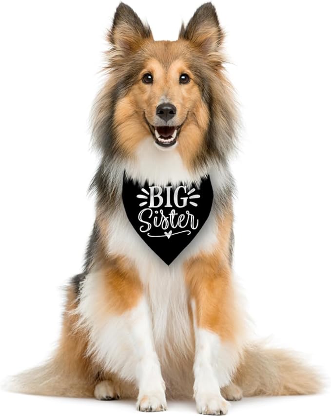 Big Sister Bandana for Dogs, Pet Pregnancy Announcement, Black Dog Bandana, Dog Bandanas for Large Dogs (L)